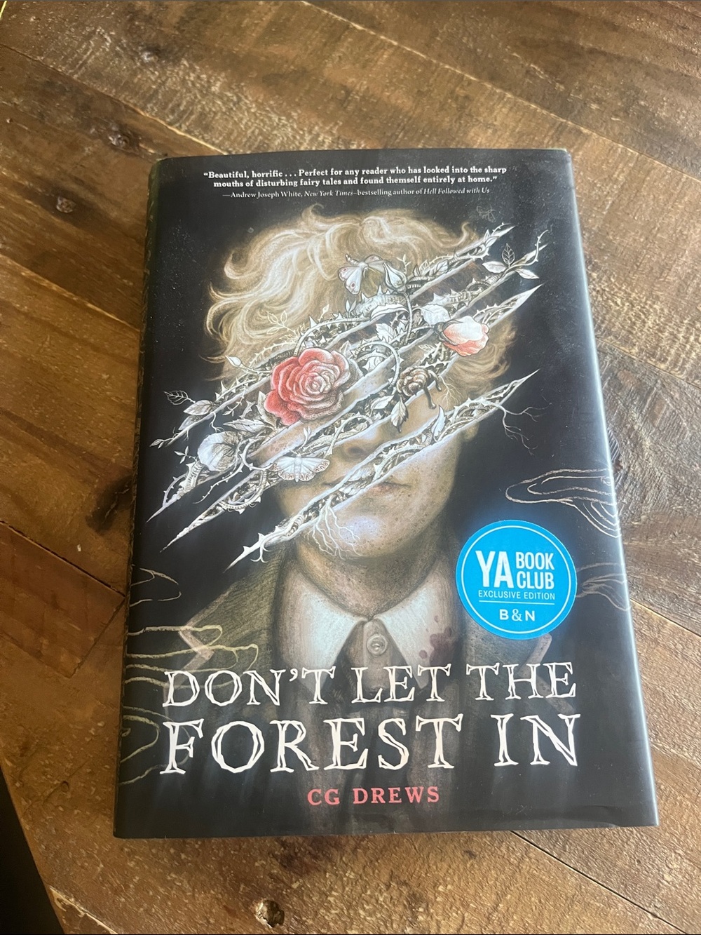 Don’t Let the Forest In hardcover in new condition